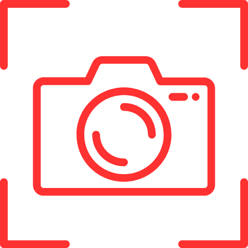 Miatulip